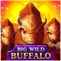 game logo by Belatra Games on run4wins.eu