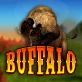 Play the Buffalo Bingo slot by MGA Games on Run4Win Casino